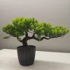 Artificial Bonsai