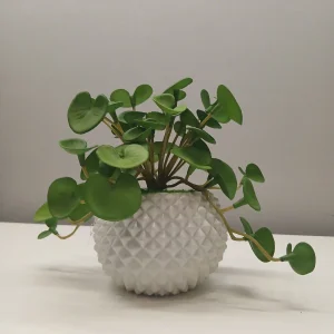Artificial Money Plant