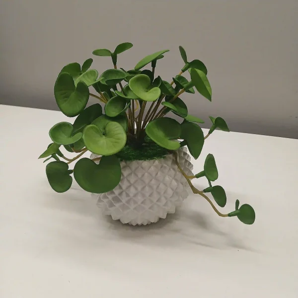 Artificial Money Plant