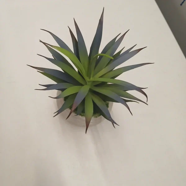 Artificial Succulent Plants (1) Artificial Succulent Plants