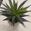 Artificial Succulent Plants