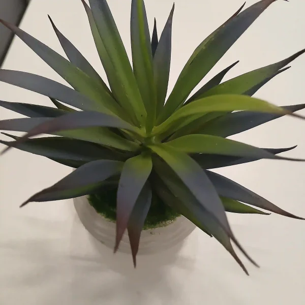 Artificial Succulent Plants (2) Artificial Succulent Plants