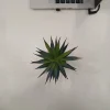 Artificial Succulent Plants