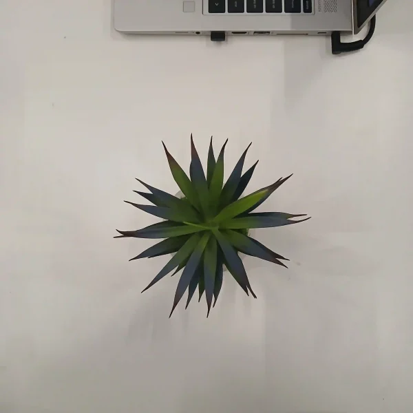 Artificial Succulent Plants (3) Artificial Succulent Plants