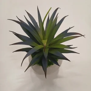 Artificial Succulent Plants
