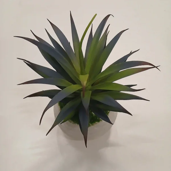 Artificial Succulent Plants (4) Artificial Succulent Plants
