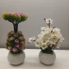 Combo Plants