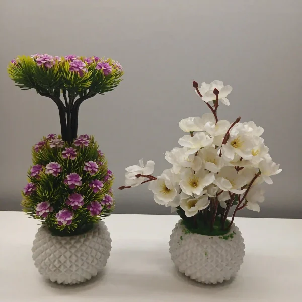 Combo Plants (1) Combo Plants