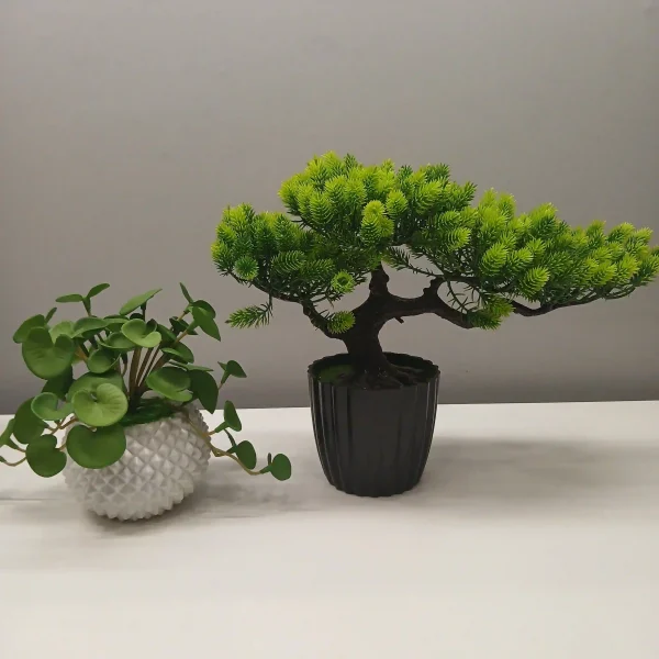 Combo Plants (2) Combo Plants