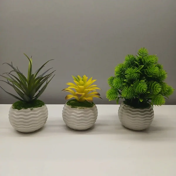 Combo Plants (4) Combo Plants
