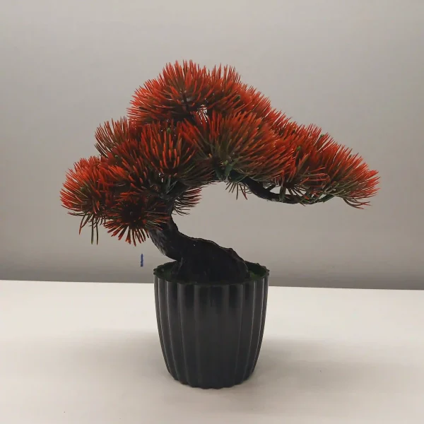 Exclusive Red Bonsai (2) Exclusive Red Bonsai