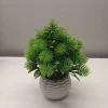 Artificial Bonsai