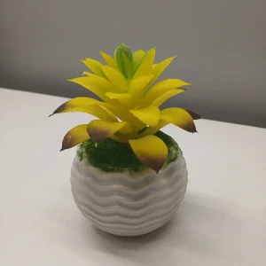 Yellow Potted Plants
